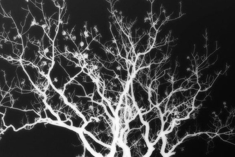 Mental models in design